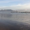 Eden on the bay
